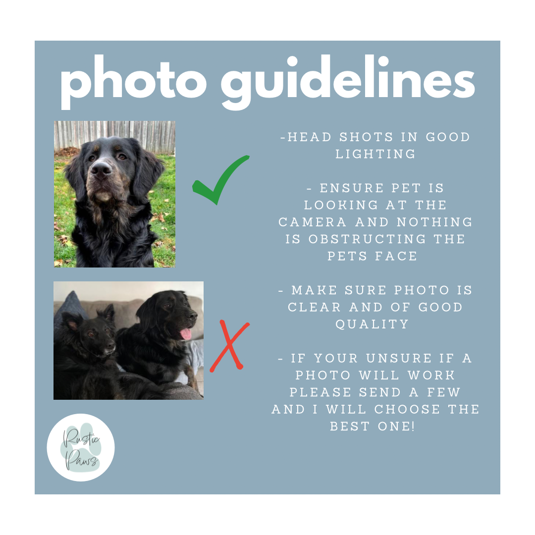 Custom Pet Baby Onesies-SQ3270938