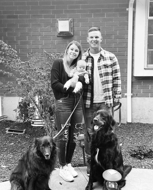 photo of a young family with a baby and two large black dogs