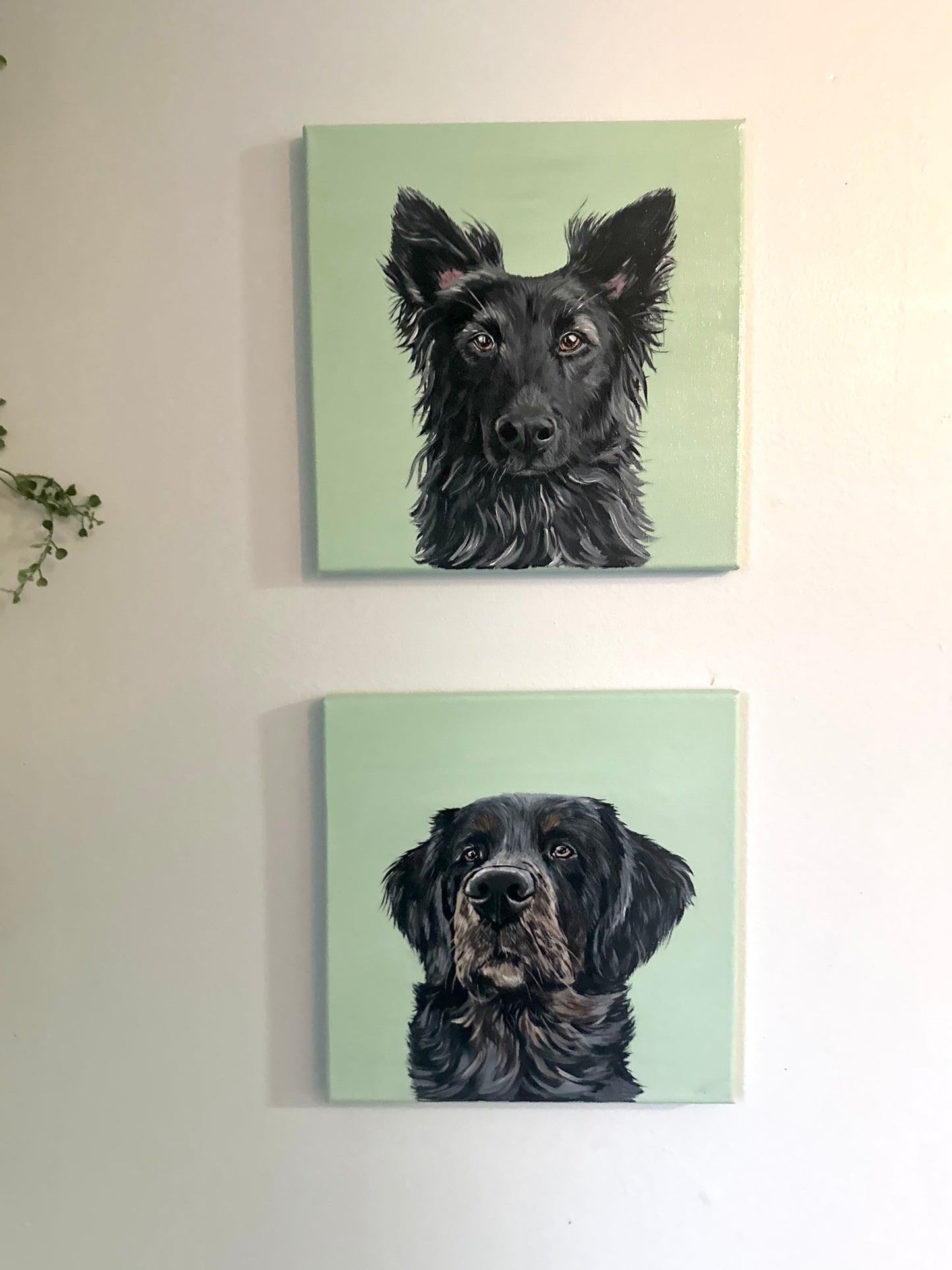 Acrylic Pet Portrait