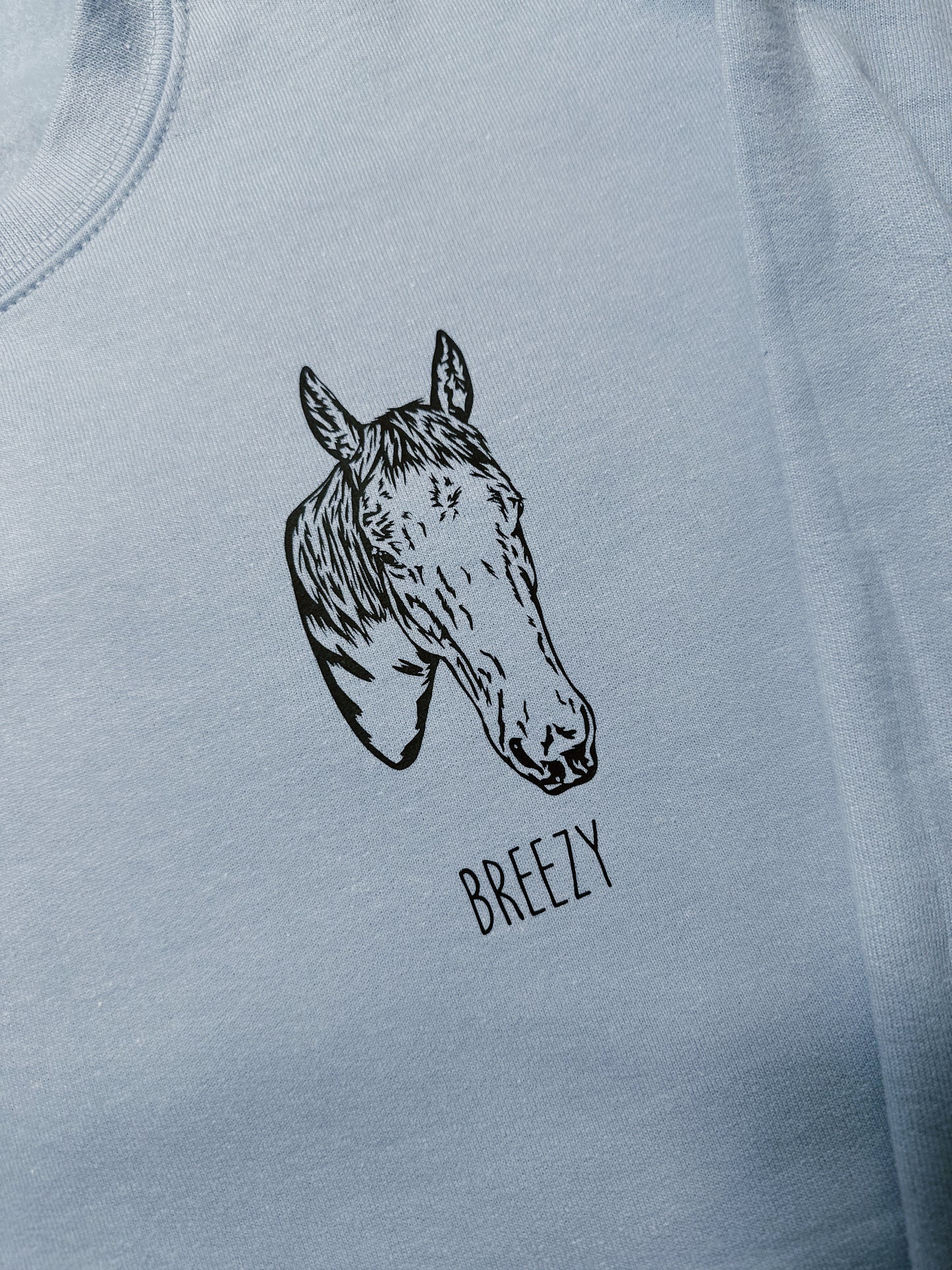 Custom Pet Crewneck